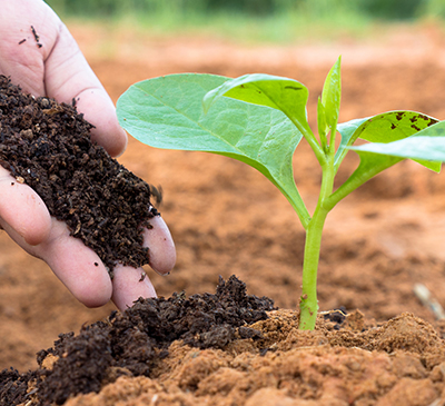 Fertilizer Additives Market by Type and Geography - Forecast and Analysis 2020-2024